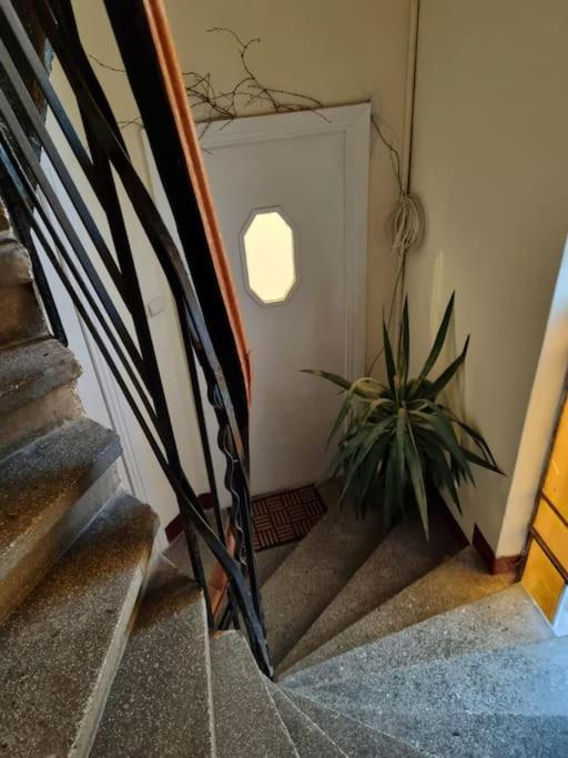 Cozy Apartment Near City Center Bukarest Exteriör bild